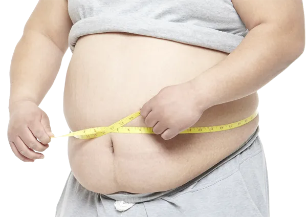비만
위고비 가격
