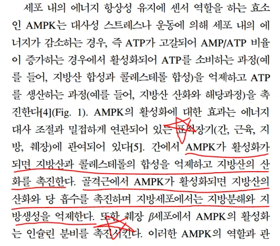 비만
위고비 가격
